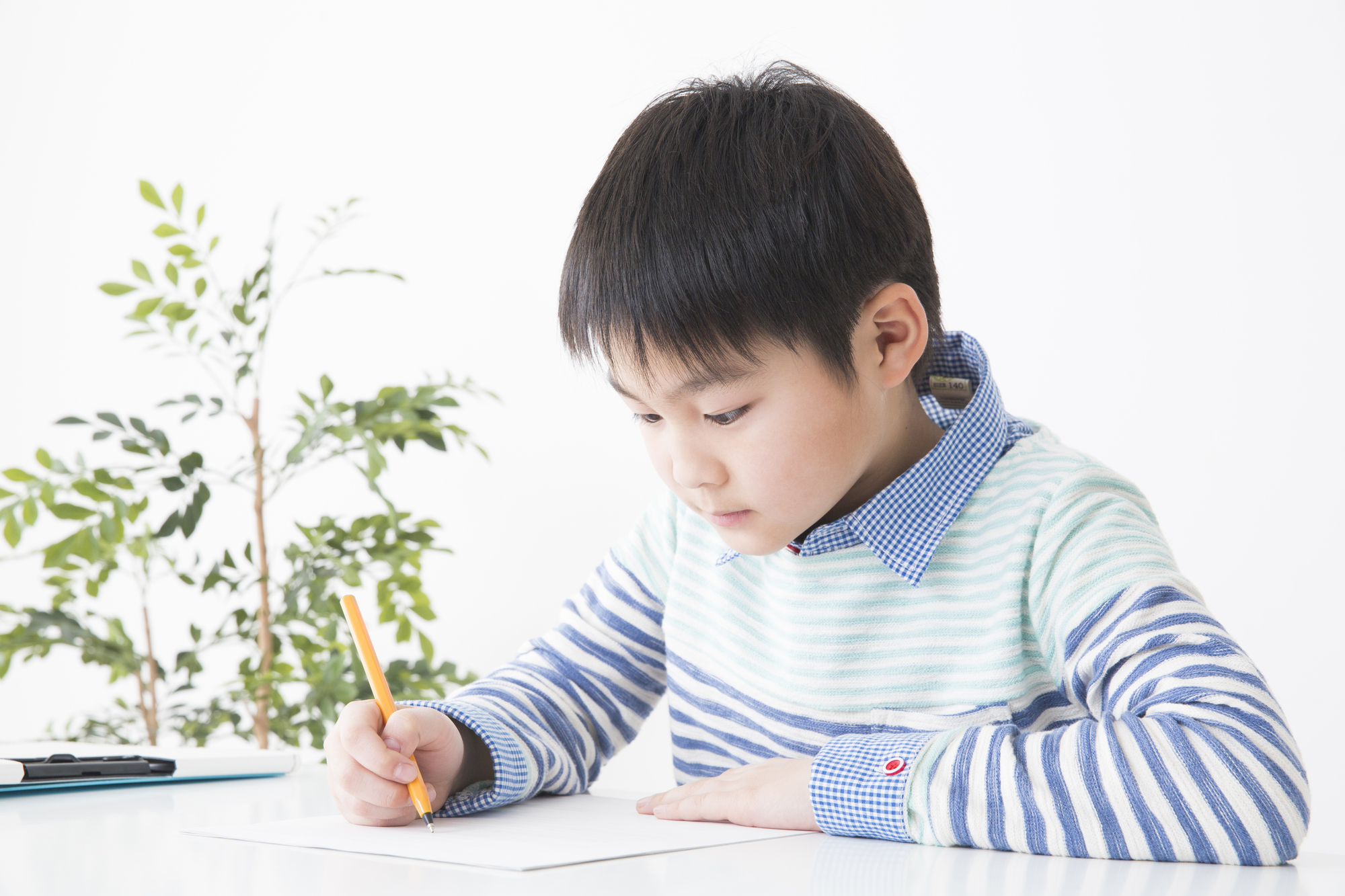 紙にペンで何か書いている男の子
