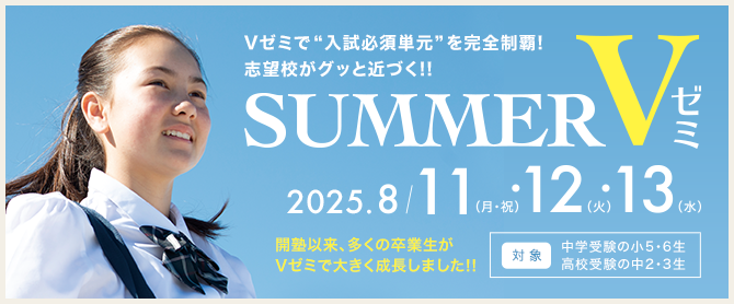 サマーVゼミ