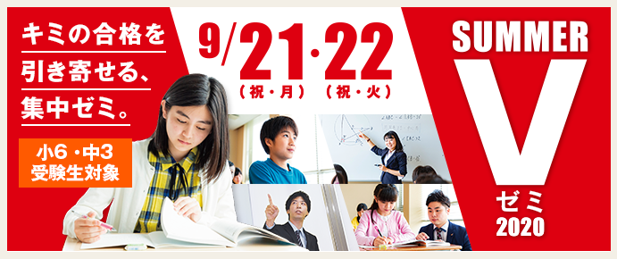 サマーVゼミ 2020