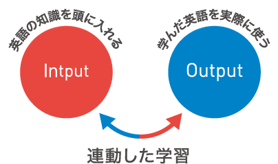 英語の知識を頭に入れるinputと、学んだ英語を実際に使うoutputの連動した学習